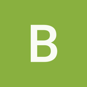 BRENMILLER ENERGY LTD